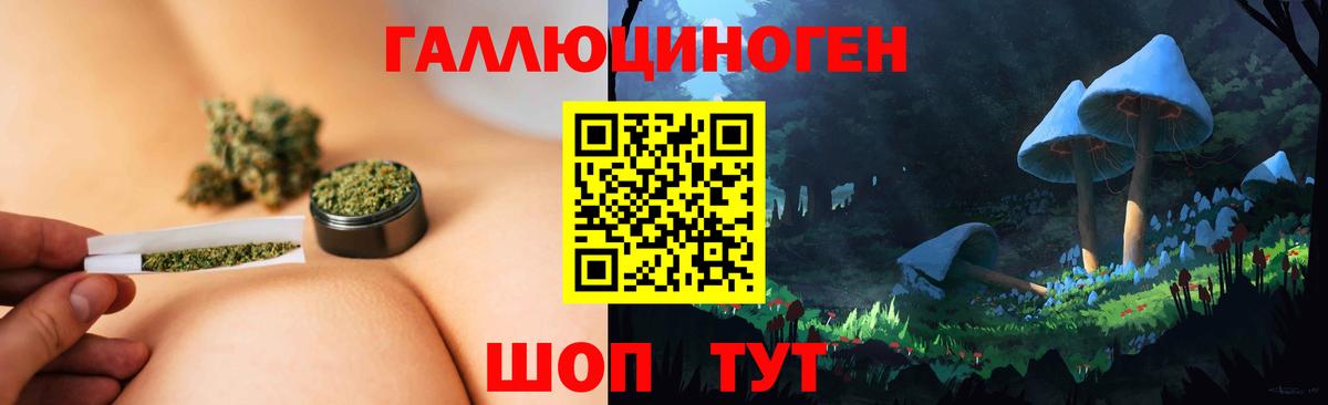 Галлюциногенные грибы ЛСД  Галлюциногенные грибы Magic Shrooms  Железноводск  Вход с VPN 